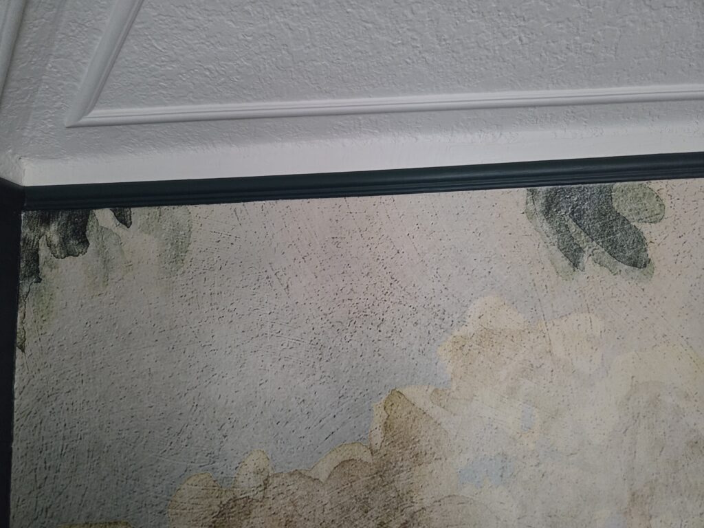 When in Doubt, Paint the Trim 1000010527 (1)