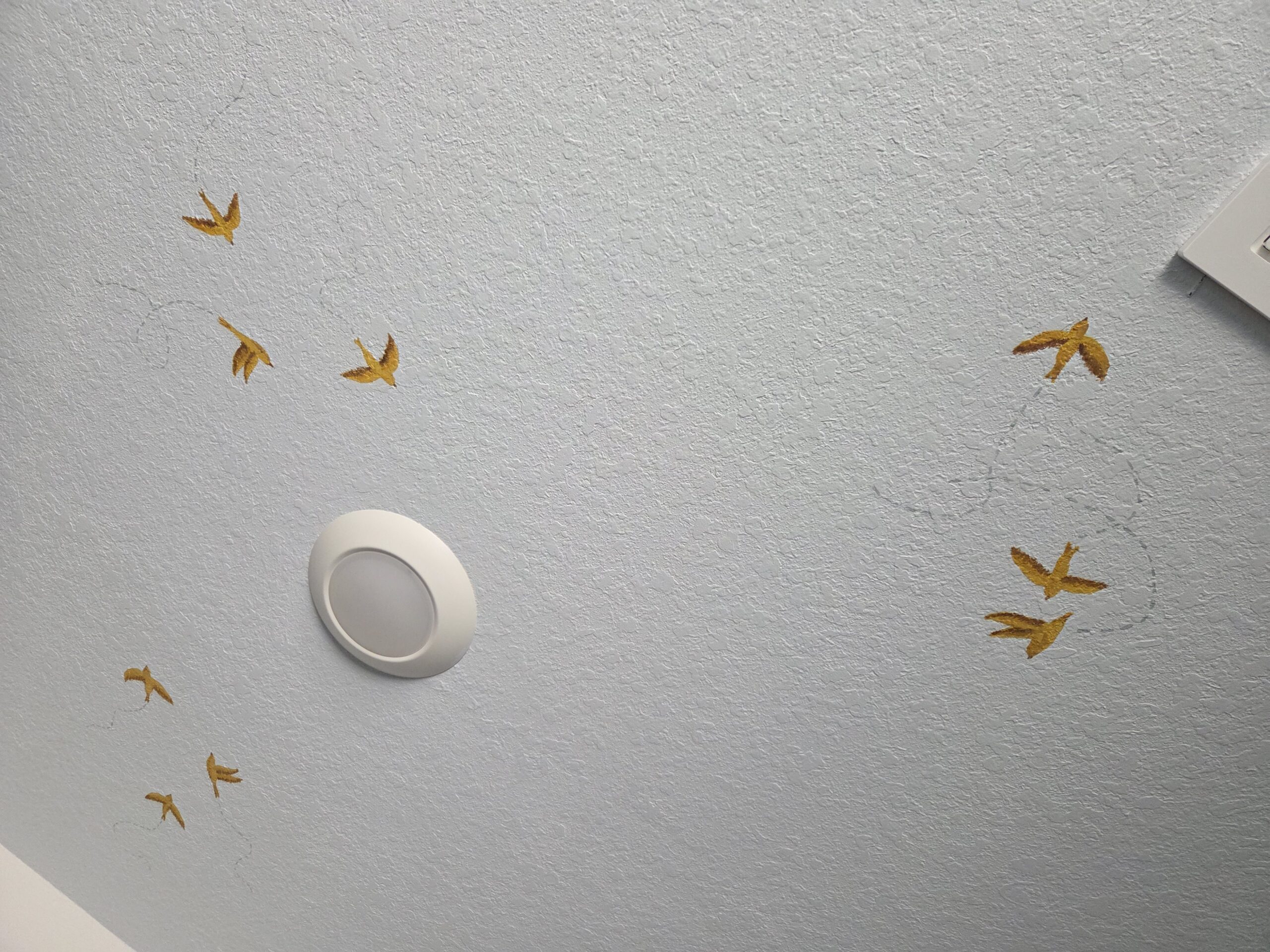 sparrows with doted lines